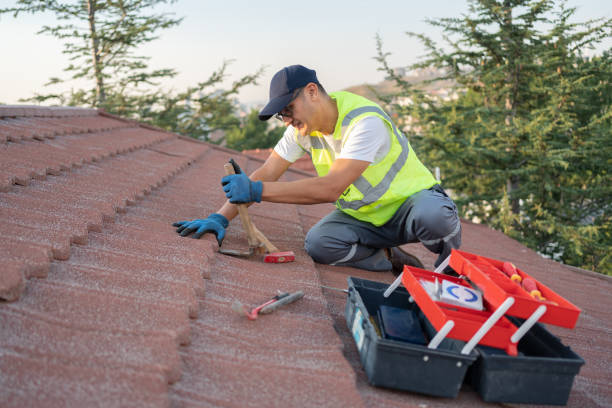Best Metal Roofing Contractor  in Gordo, AL